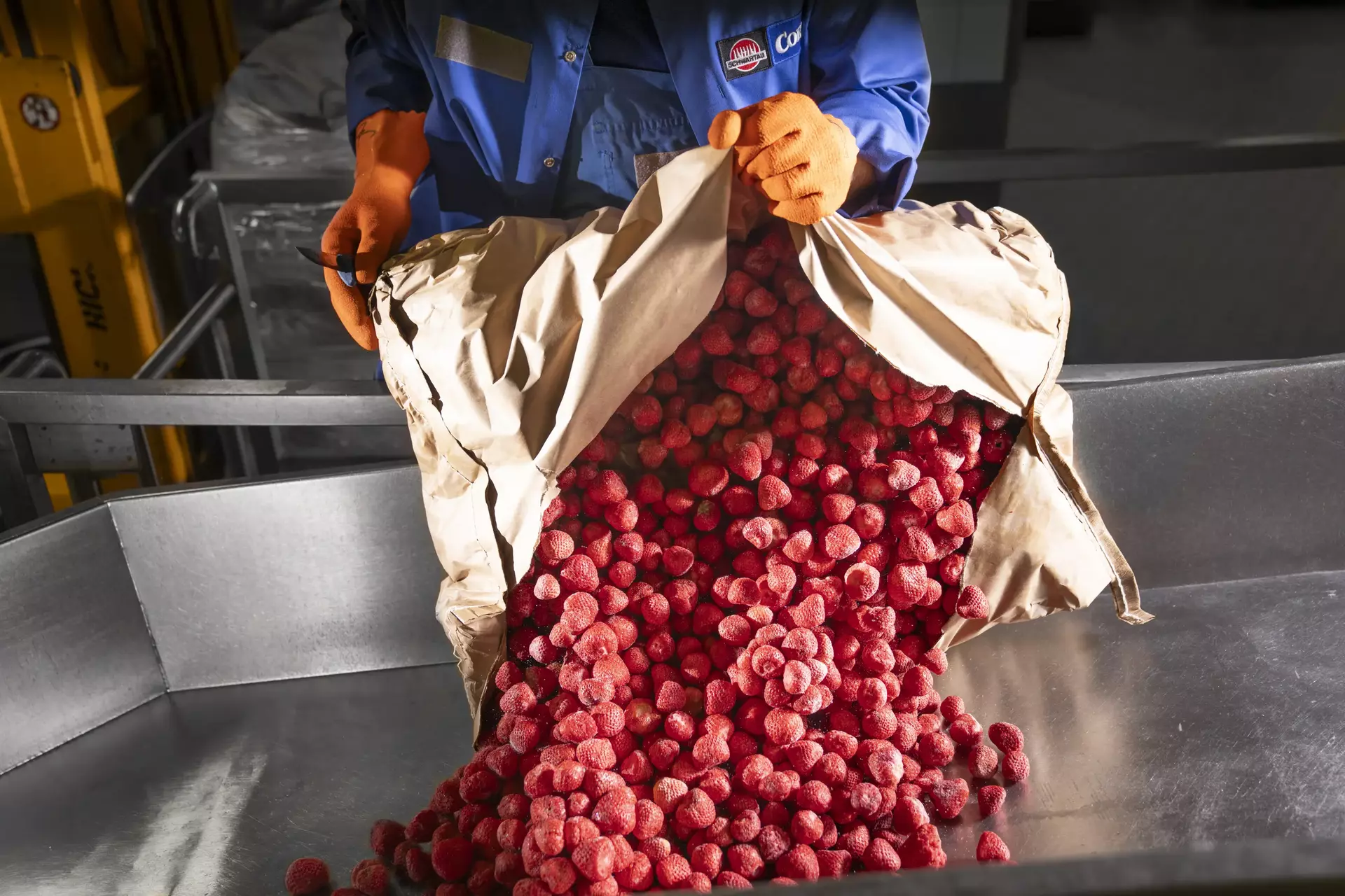 Gefrostete Erdbeeren, die aus einem Papiersack in einen Behälter geschüttet werden