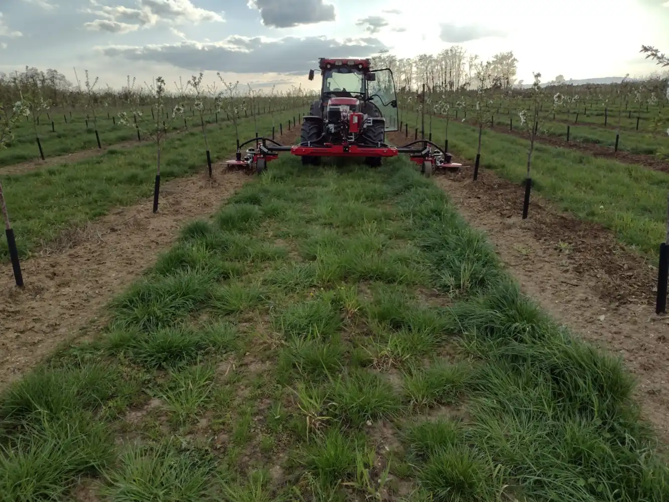 Trecker auf Feld 